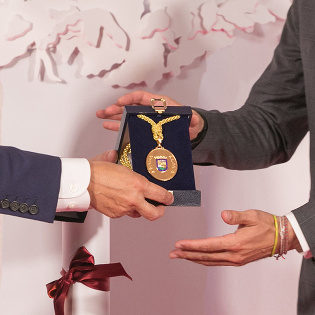 Medalla de Álava - Hover